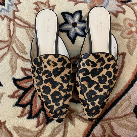 Slides - Picture 2 of 4